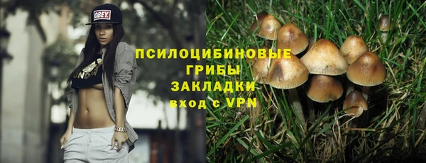 ГАЛЛЮЦИНОГЕННЫЕ ГРИБЫ Бронницы