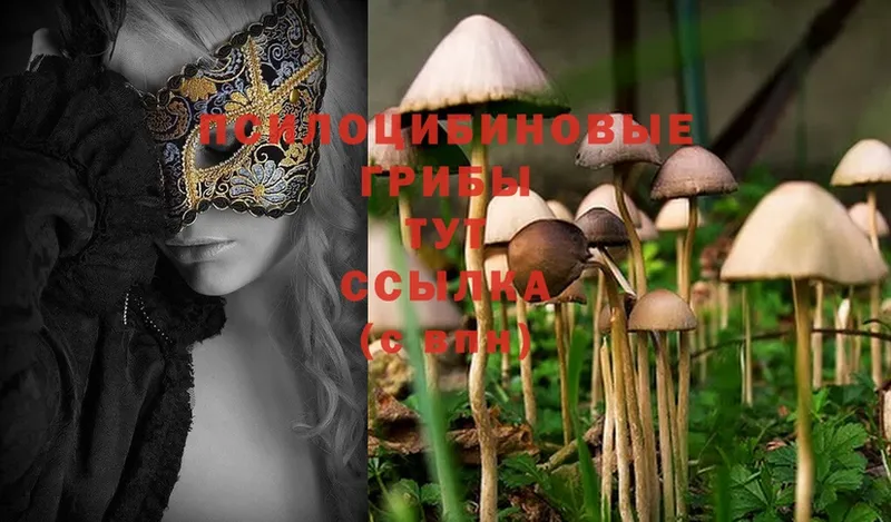 Галлюциногенные грибы Magic Shrooms  наркотики  Воронеж 